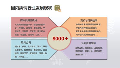 杨辉 以战略之笔，绘中国品牌出海蓝图