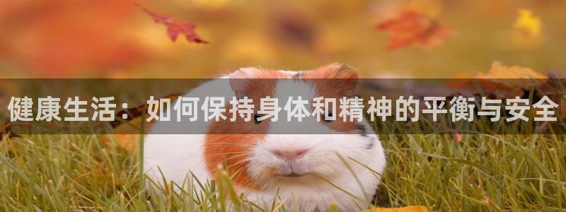 搜球体育官网网址