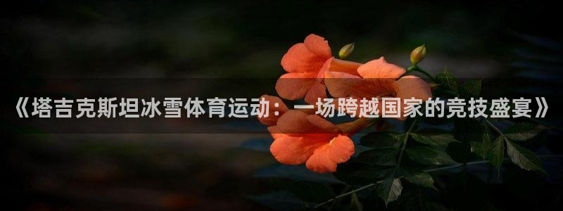 搜球体育怎么登录账号