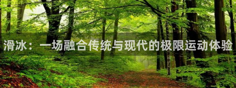 搜球体育app下载：滑冰：一场融合传统与现代的极限运动体验