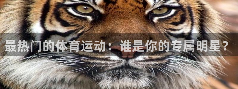 搜球体育CBA