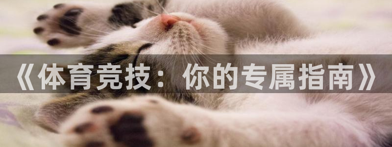 搜球体育新闻