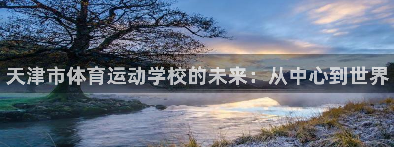 搜球体育现在叫什么：天津市体育运动学校的未来：从中心到世界