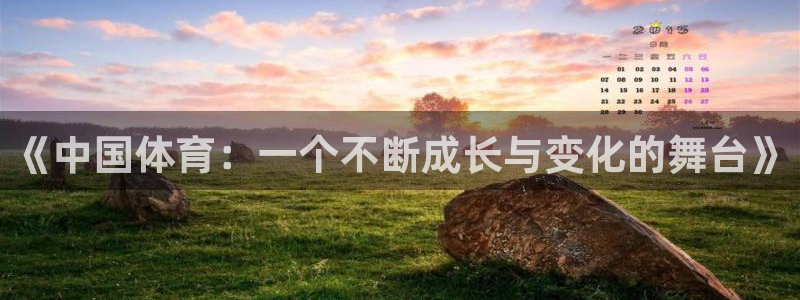 搜球体育现在叫什么：《中国体育：一个不断成长与变化的舞台》