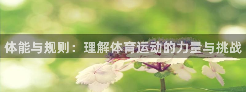 搜球体育在线观看：体能与规则：理解体育运动的力量与挑战